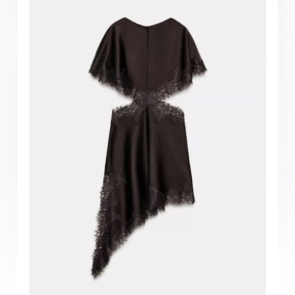 Zara ZW COLLECTION LACE CUT-OUT DRESS - Picture 9 of 9